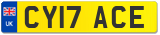 CY17 ACE