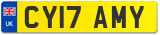 CY17 AMY