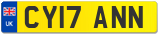 CY17 ANN