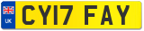 CY17 FAY