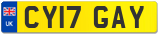 CY17 GAY