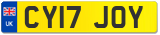 CY17 JOY