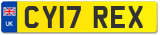 CY17 REX