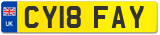 CY18 FAY