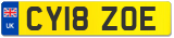 CY18 ZOE