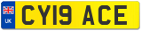 CY19 ACE