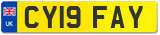 CY19 FAY