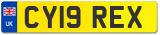 CY19 REX