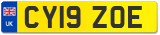 CY19 ZOE