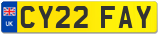 CY22 FAY