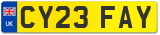 CY23 FAY