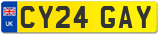 CY24 GAY