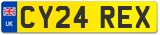 CY24 REX