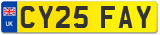 CY25 FAY