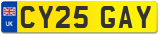 CY25 GAY