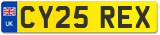 CY25 REX