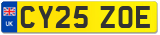 CY25 ZOE