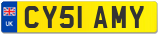 CY51 AMY