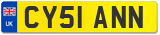 CY51 ANN