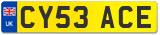 CY53 ACE