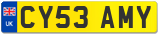 CY53 AMY