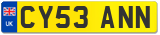 CY53 ANN