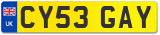 CY53 GAY