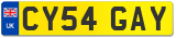 CY54 GAY