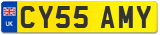 CY55 AMY