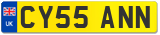 CY55 ANN