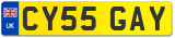CY55 GAY
