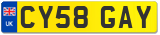 CY58 GAY