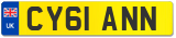 CY61 ANN