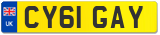 CY61 GAY