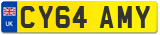 CY64 AMY