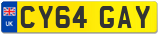 CY64 GAY