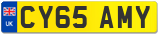 CY65 AMY