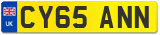 CY65 ANN