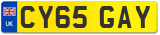 CY65 GAY