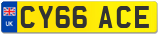 CY66 ACE