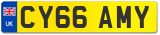 CY66 AMY