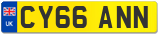 CY66 ANN