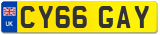 CY66 GAY