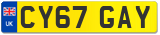 CY67 GAY