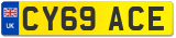 CY69 ACE