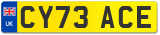 CY73 ACE