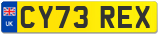 CY73 REX