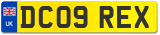 DC09 REX