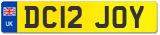 DC12 JOY