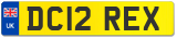 DC12 REX